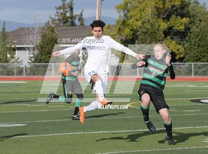 Thumbnail 3 in Homestead vs Prospect (CIF CCS D1 Quarterfinal) photogallery.