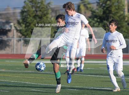 Thumbnail 3 in Homestead vs Prospect (CIF CCS D1 Quarterfinal) photogallery.