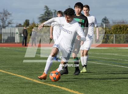 Thumbnail 1 in Homestead vs Prospect (CIF CCS D1 Quarterfinal) photogallery.