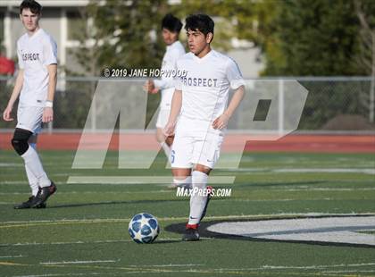 Thumbnail 2 in Homestead vs Prospect (CIF CCS D1 Quarterfinal) photogallery.