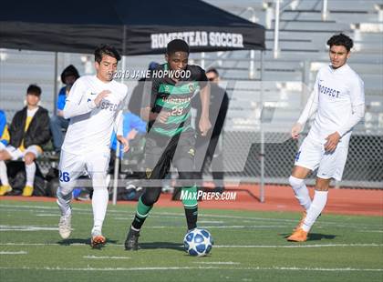 Thumbnail 3 in Homestead vs Prospect (CIF CCS D1 Quarterfinal) photogallery.