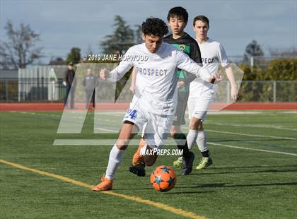 Thumbnail 2 in Homestead vs Prospect (CIF CCS D1 Quarterfinal) photogallery.