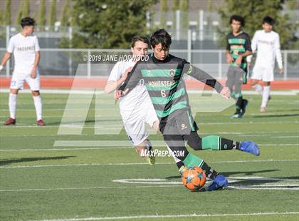 Thumbnail 3 in Homestead vs Prospect (CIF CCS D1 Quarterfinal) photogallery.