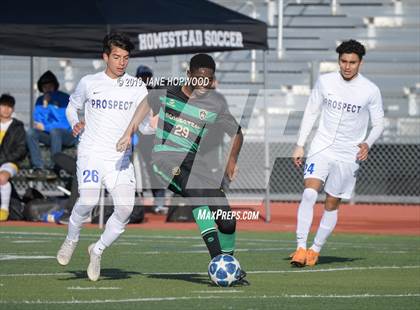 Thumbnail 1 in Homestead vs Prospect (CIF CCS D1 Quarterfinal) photogallery.