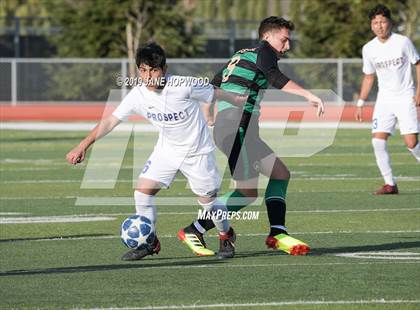 Thumbnail 2 in Homestead vs Prospect (CIF CCS D1 Quarterfinal) photogallery.