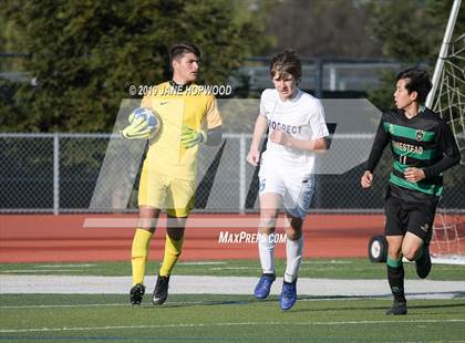 Thumbnail 3 in Homestead vs Prospect (CIF CCS D1 Quarterfinal) photogallery.