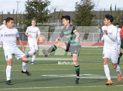 Thumbnail 1 in Homestead vs Prospect (CIF CCS D1 Quarterfinal) photogallery.