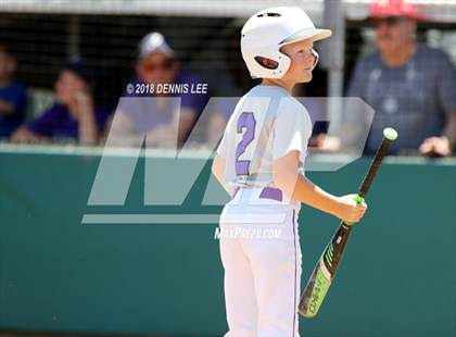 Thumbnail 3 in Piedmont vs. Redwood Christian (CIF NCS D4 Final) photogallery.