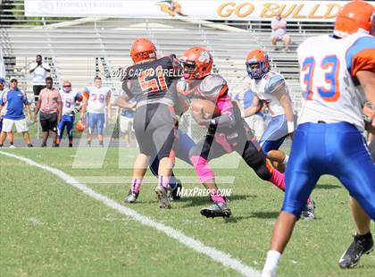 Thumbnail 3 in Ridgewood @ Zephyrhills photogallery.