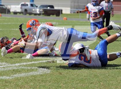 Thumbnail 1 in Ridgewood @ Zephyrhills photogallery.