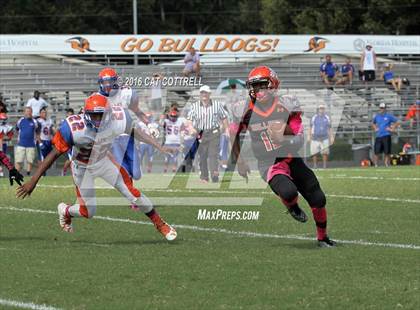 Thumbnail 2 in Ridgewood @ Zephyrhills photogallery.