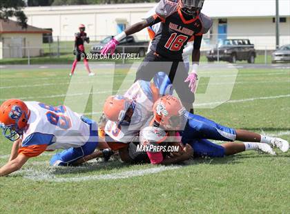Thumbnail 2 in Ridgewood @ Zephyrhills photogallery.