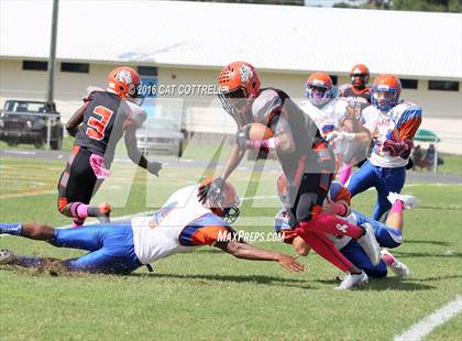 Thumbnail 1 in Ridgewood @ Zephyrhills photogallery.