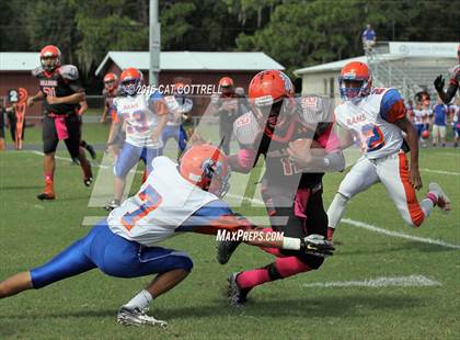 Thumbnail 3 in Ridgewood @ Zephyrhills photogallery.