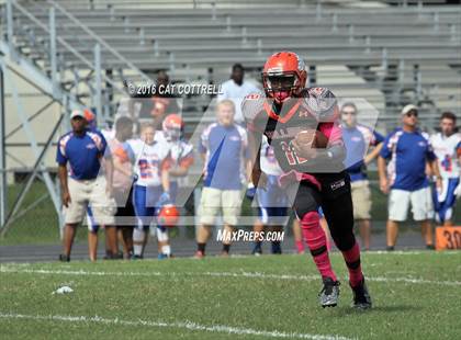 Thumbnail 1 in Ridgewood @ Zephyrhills photogallery.