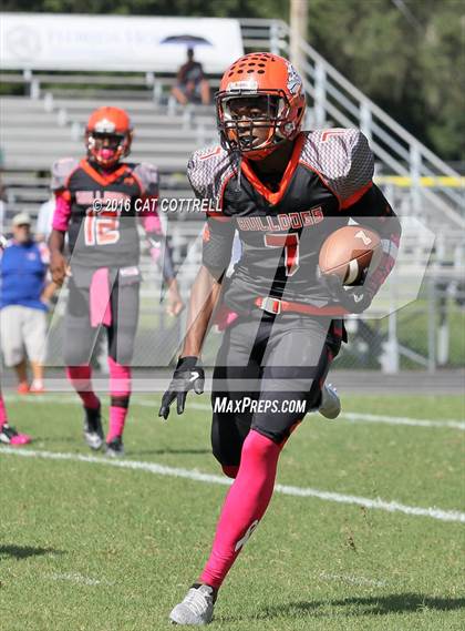 Thumbnail 2 in Ridgewood @ Zephyrhills photogallery.