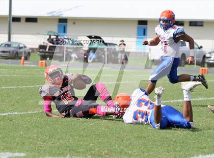 Thumbnail 2 in Ridgewood @ Zephyrhills photogallery.