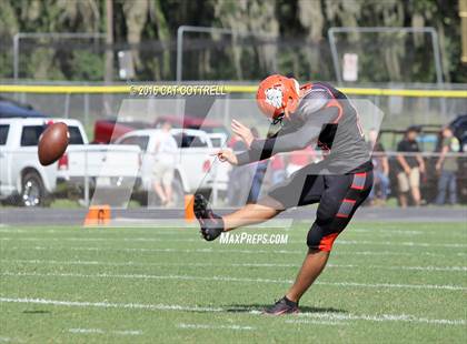 Thumbnail 1 in Ridgewood @ Zephyrhills photogallery.
