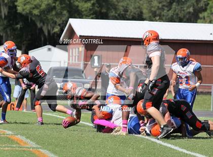 Thumbnail 3 in Ridgewood @ Zephyrhills photogallery.