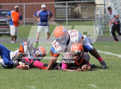 Thumbnail 3 in Ridgewood @ Zephyrhills photogallery.