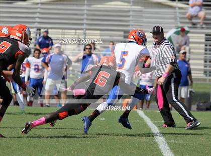 Thumbnail 3 in Ridgewood @ Zephyrhills photogallery.
