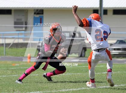 Thumbnail 1 in Ridgewood @ Zephyrhills photogallery.