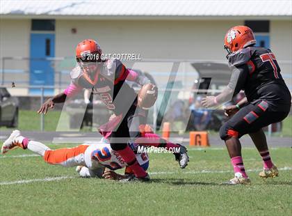 Thumbnail 3 in Ridgewood @ Zephyrhills photogallery.