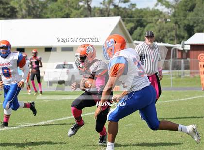 Thumbnail 1 in Ridgewood @ Zephyrhills photogallery.