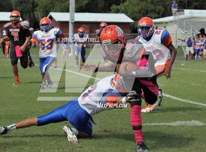 Thumbnail 1 in Ridgewood @ Zephyrhills photogallery.