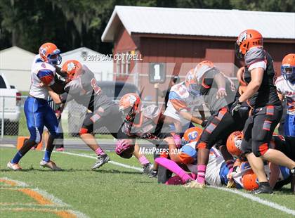 Thumbnail 2 in Ridgewood @ Zephyrhills photogallery.