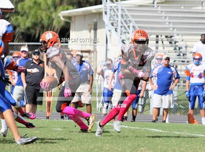 Thumbnail 3 in Ridgewood @ Zephyrhills photogallery.