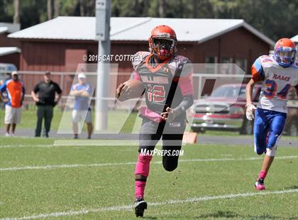 Thumbnail 3 in Ridgewood @ Zephyrhills photogallery.