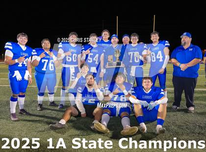 Thumbnail 2 in Hayden vs Bagdad (AIA-1A Final Awards) photogallery.