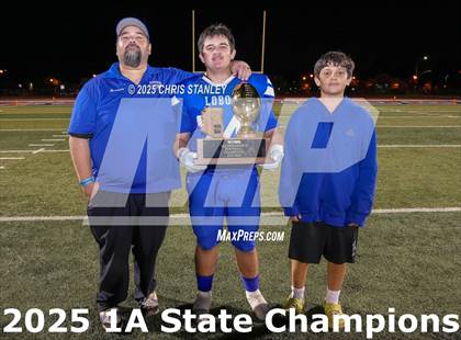 Thumbnail 3 in Hayden vs Bagdad (AIA-1A Final Awards) photogallery.