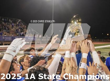 Thumbnail 2 in Hayden vs Bagdad (AIA-1A Final Awards) photogallery.