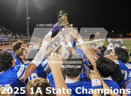 Thumbnail 1 in Hayden vs Bagdad (AIA-1A Final Awards) photogallery.