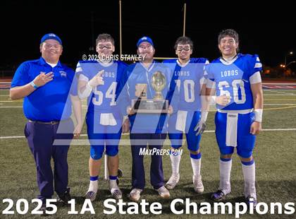 Thumbnail 2 in Hayden vs Bagdad (AIA-1A Final Awards) photogallery.