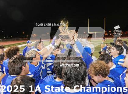 Thumbnail 3 in Hayden vs Bagdad (AIA-1A Final Awards) photogallery.