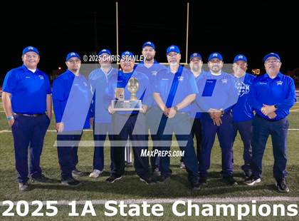 Thumbnail 1 in Hayden vs Bagdad (AIA-1A Final Awards) photogallery.