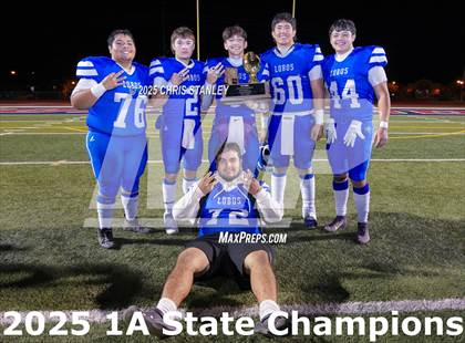 Thumbnail 3 in Hayden vs Bagdad (AIA-1A Final Awards) photogallery.