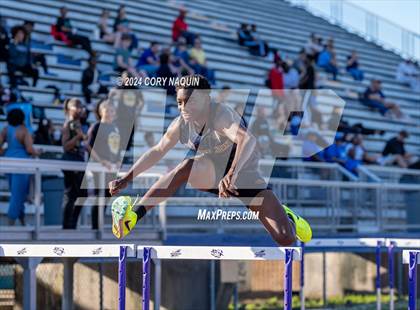 Thumbnail 3 in Tiger Relays photogallery.