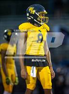 Photo from the gallery "Winter Haven @ Eau Gallie"