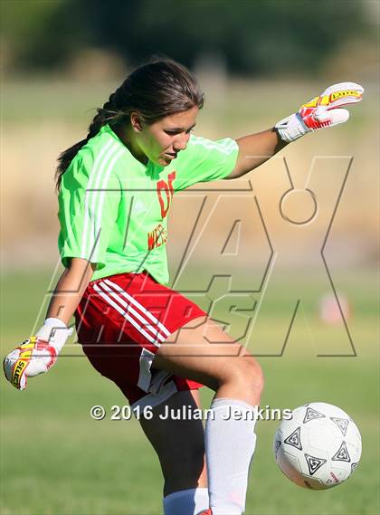 Thumbnail 1 in Weiser vs. Payette photogallery.