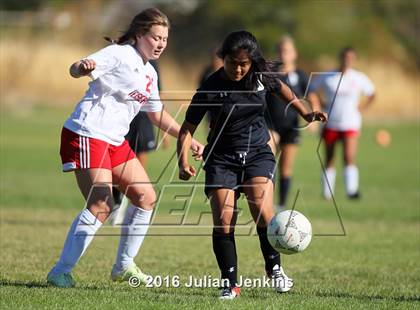 Thumbnail 3 in Weiser vs. Payette photogallery.