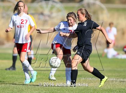 Thumbnail 2 in Weiser vs. Payette photogallery.
