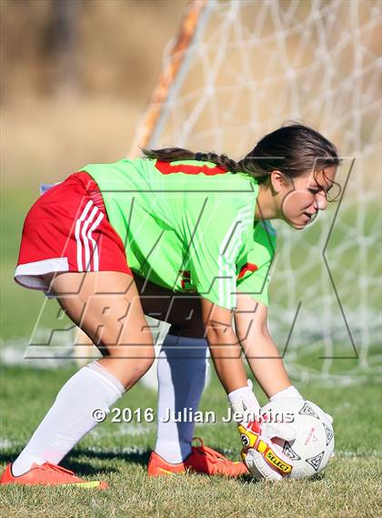 Thumbnail 3 in Weiser vs. Payette photogallery.