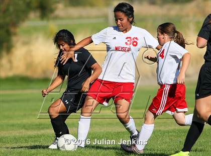 Thumbnail 1 in Weiser vs. Payette photogallery.