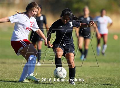 Thumbnail 1 in Weiser vs. Payette photogallery.