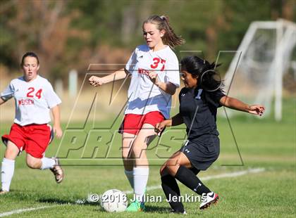Thumbnail 1 in Weiser vs. Payette photogallery.