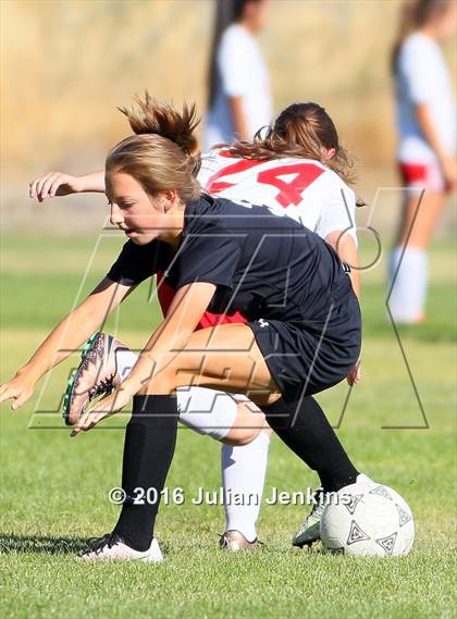 Thumbnail 2 in Weiser vs. Payette photogallery.